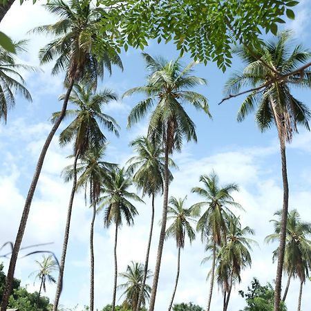 Centre Touristique Et Culturel Casamance Guest House Diakene Ouolof ภายนอก รูปภาพ
