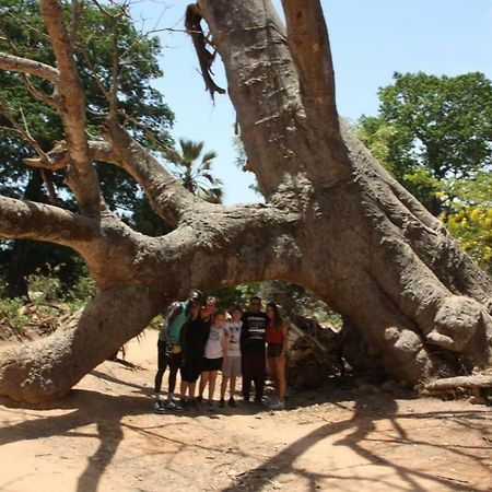 Centre Touristique Et Culturel Casamance Guest House Diakene Ouolof ภายนอก รูปภาพ