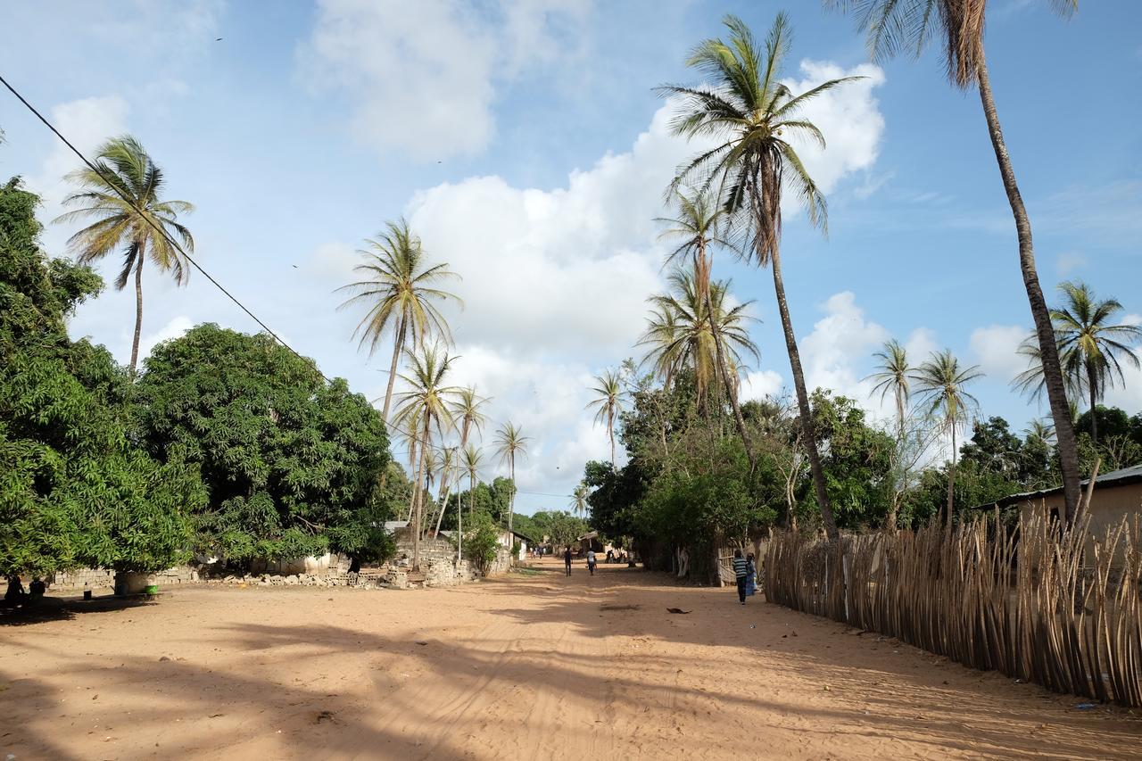 Centre Touristique Et Culturel Casamance Guest House Diakene Ouolof ภายนอก รูปภาพ