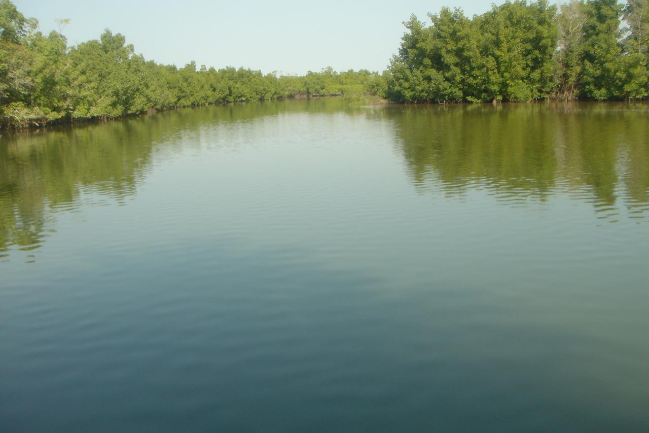 Centre Touristique Et Culturel Casamance Guest House Diakene Ouolof ภายนอก รูปภาพ