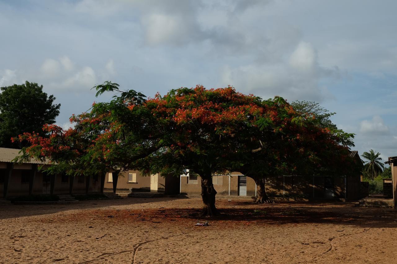 Centre Touristique Et Culturel Casamance Guest House Diakene Ouolof ภายนอก รูปภาพ