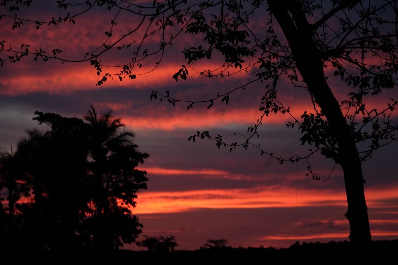 Centre Touristique Et Culturel Casamance Guest House Diakene Ouolof ภายนอก รูปภาพ