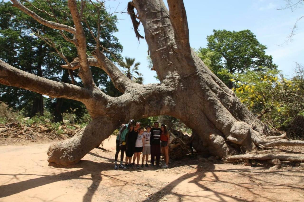 Centre Touristique Et Culturel Casamance Guest House Diakene Ouolof ภายนอก รูปภาพ