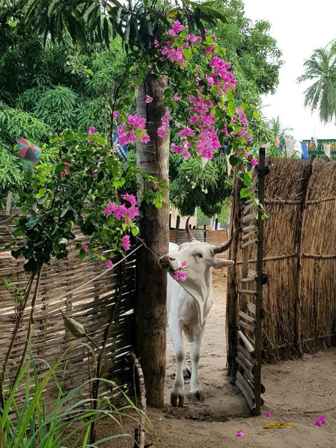 Centre Touristique Et Culturel Casamance Guest House Diakene Ouolof ภายนอก รูปภาพ