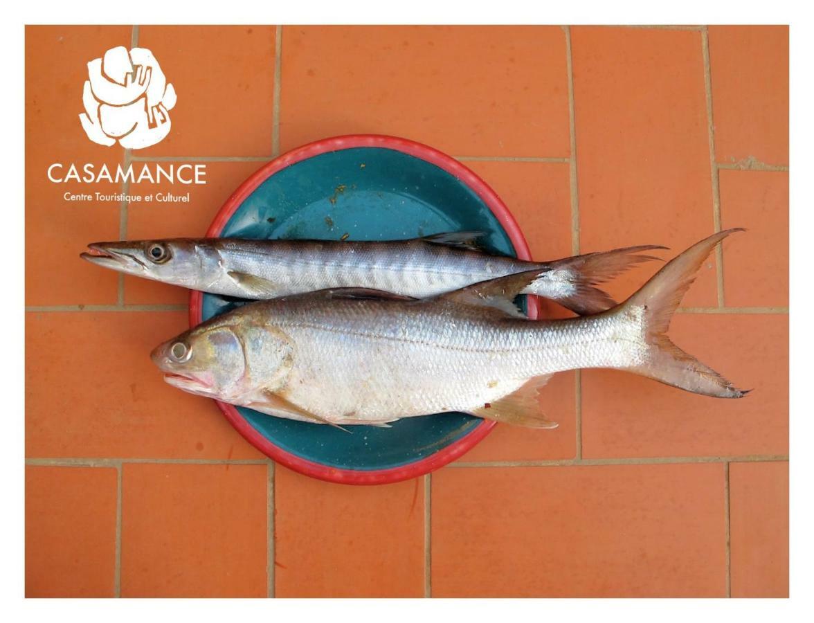 Centre Touristique Et Culturel Casamance Guest House Diakene Ouolof ภายนอก รูปภาพ